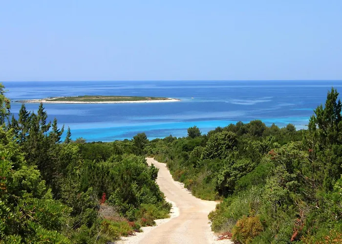 By The Sea Savar, Dugi Otok - 23087